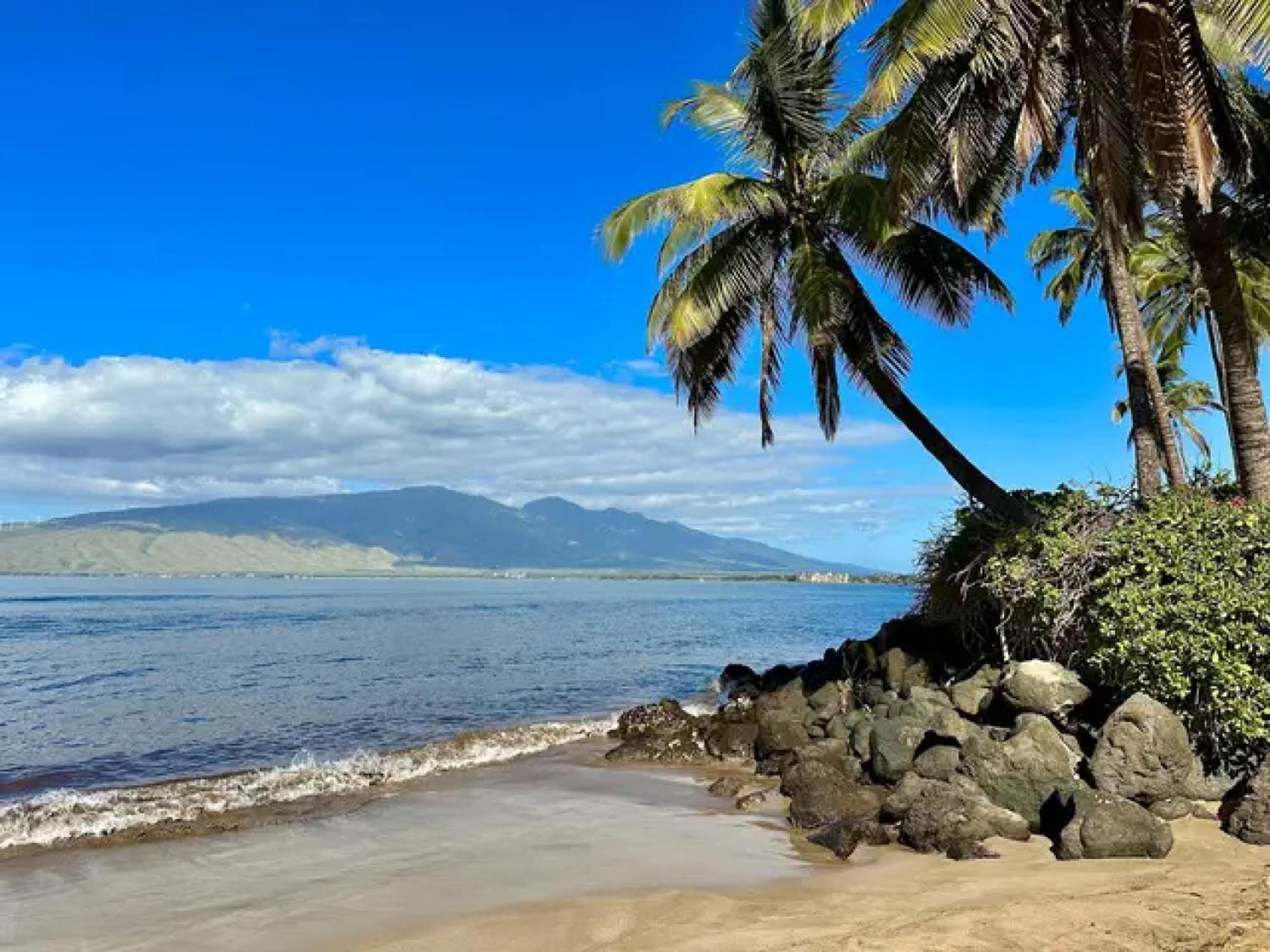 كيهي Cozy Maui Studio Retreat Just Steps To The Sand! المظهر الخارجي الصورة